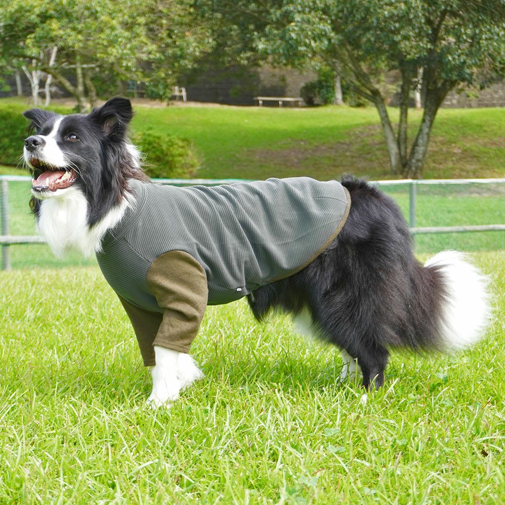 iDog 中大型犬用 ロングスリーブハイネック-犬猫ペット用品通販