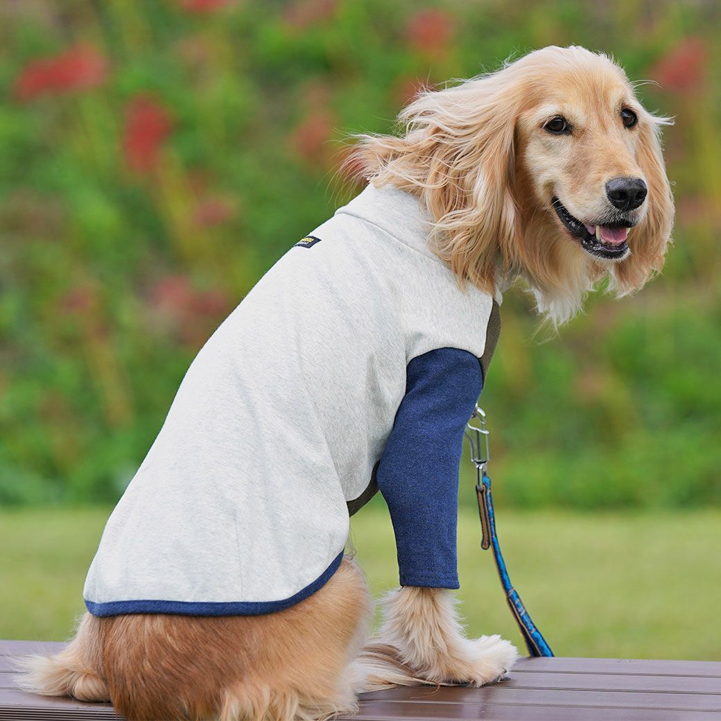 iDog 中大型犬用 ロングスリーブハイネック-犬猫ペット用品通販