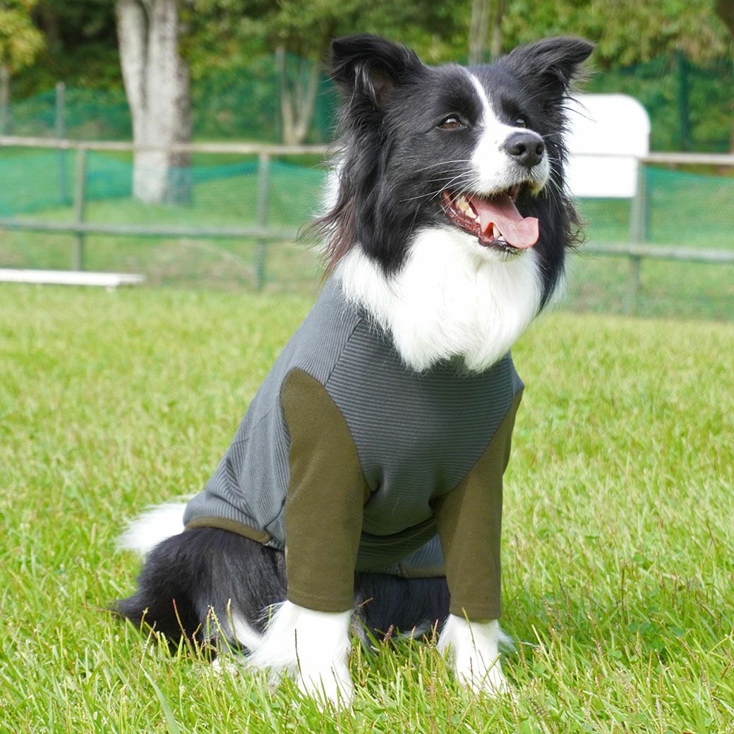 iDog 中大型犬用 ロングスリーブハイネック-犬猫ペット用品通販
