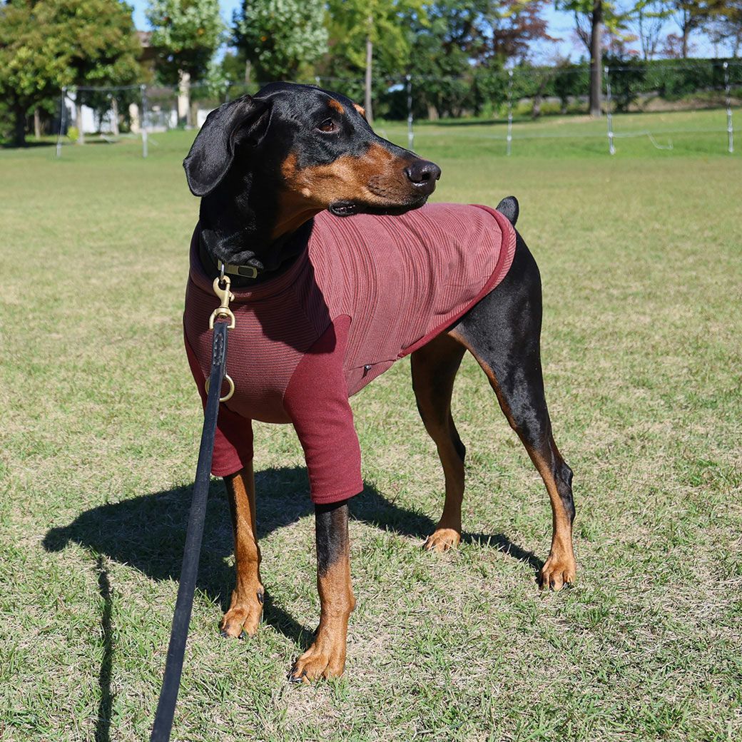iDog 中大型犬用 ロングスリーブハイネック-犬猫ペット用品通販