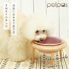 IDOG&ICATpelpasペルパ3wayフードボウルアイドッグ