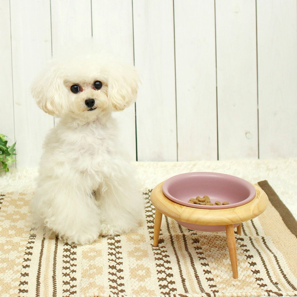 IDOG&ICAT pelpas ペルパ 3wayフードボウル アイドッグ|ペット 犬