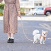 落ち着いたカラーリング