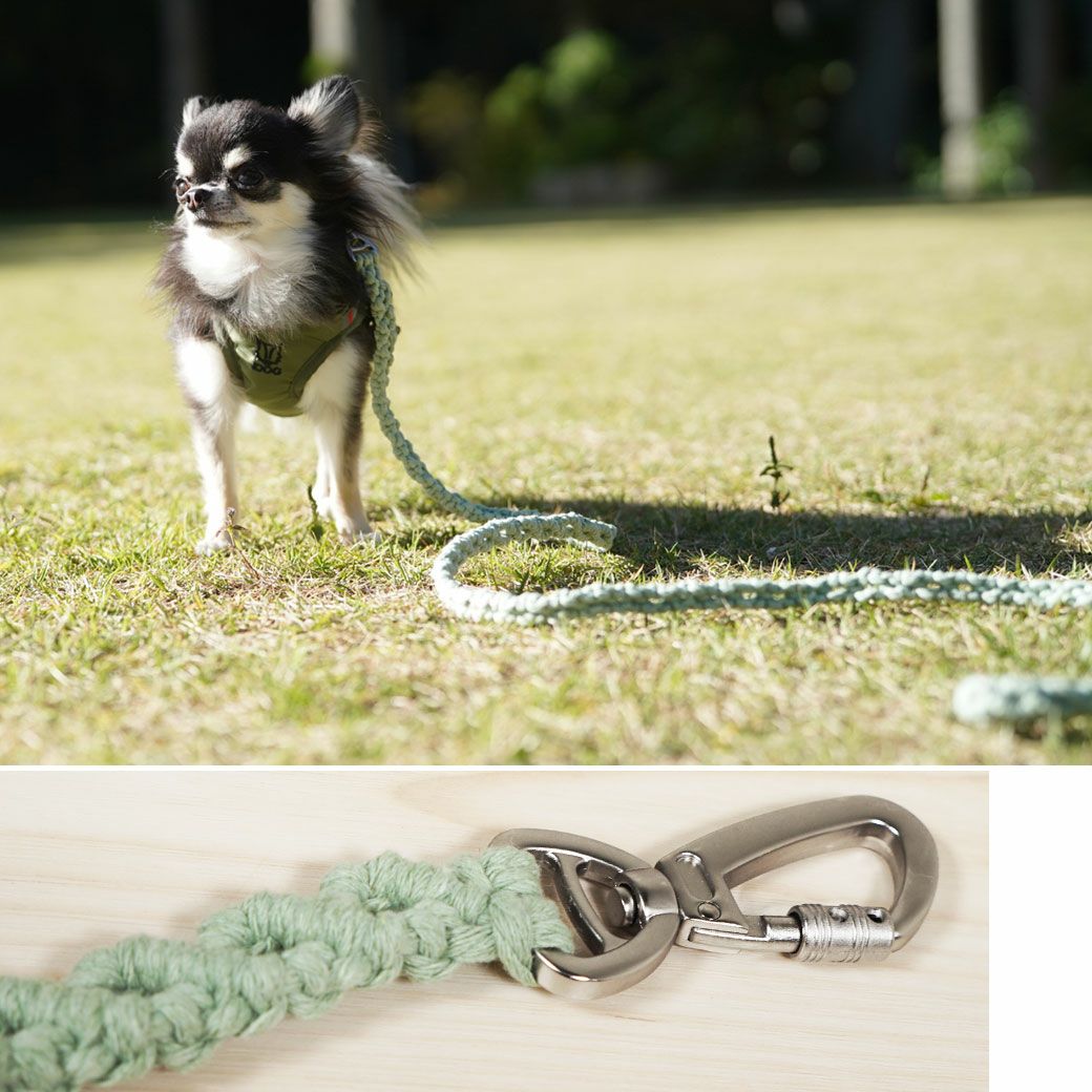 iDog マクラメ編みリード-犬猫ペット用品通販 IDOG&ICAT|ペット 犬 首輪