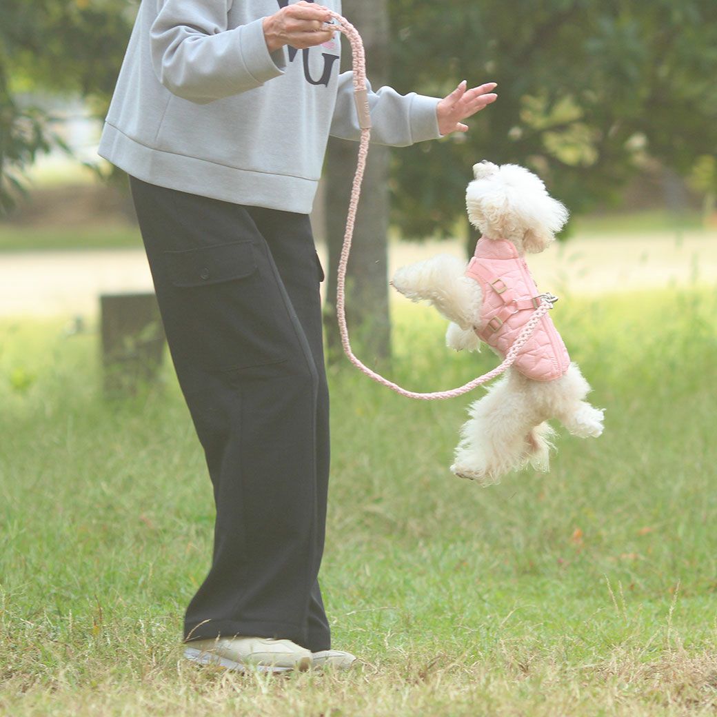 iDog マクラメ編みリード-犬猫ペット用品通販 IDOG&ICAT|ペット