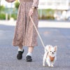 チワワ2.69kg(首21/胴34/丈25cm)の涼央くんはベージュを使用