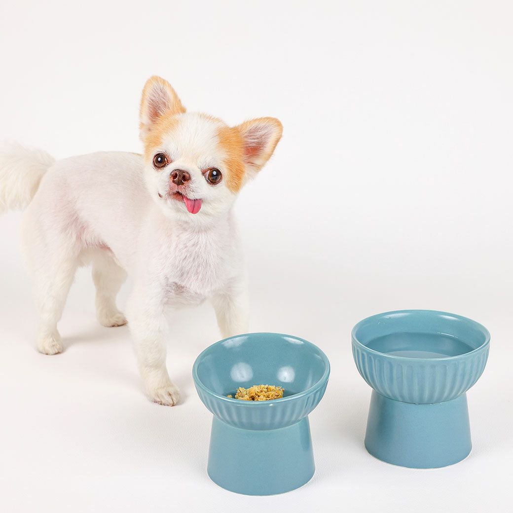 IDOG&ICAT pelpas フラットスタンドフードボウル アイドッグ|ペット 犬