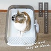 iCatセミクローズドプラスチックサンドボックス