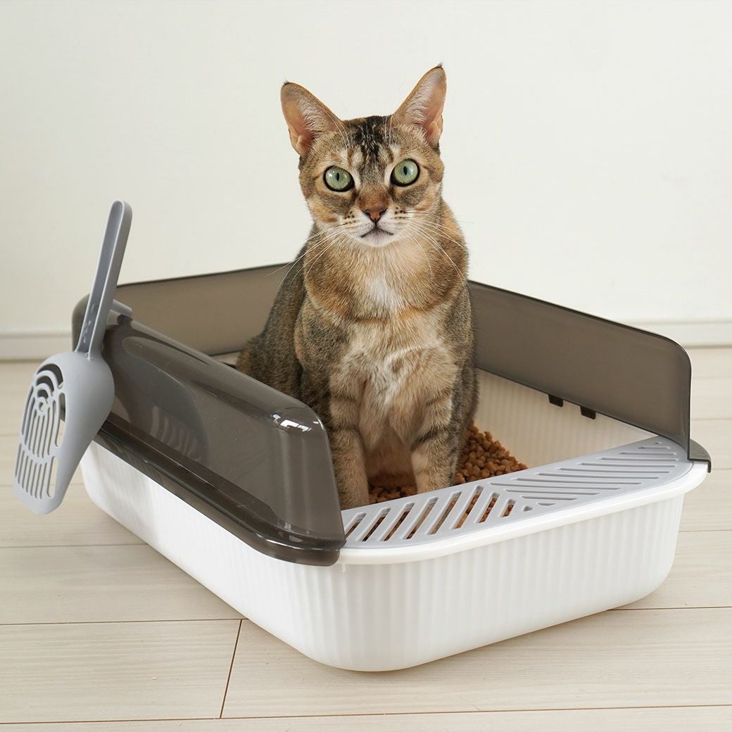 iCat セミクローズドプラスチックサンドボックス-犬猫ペット用品通販