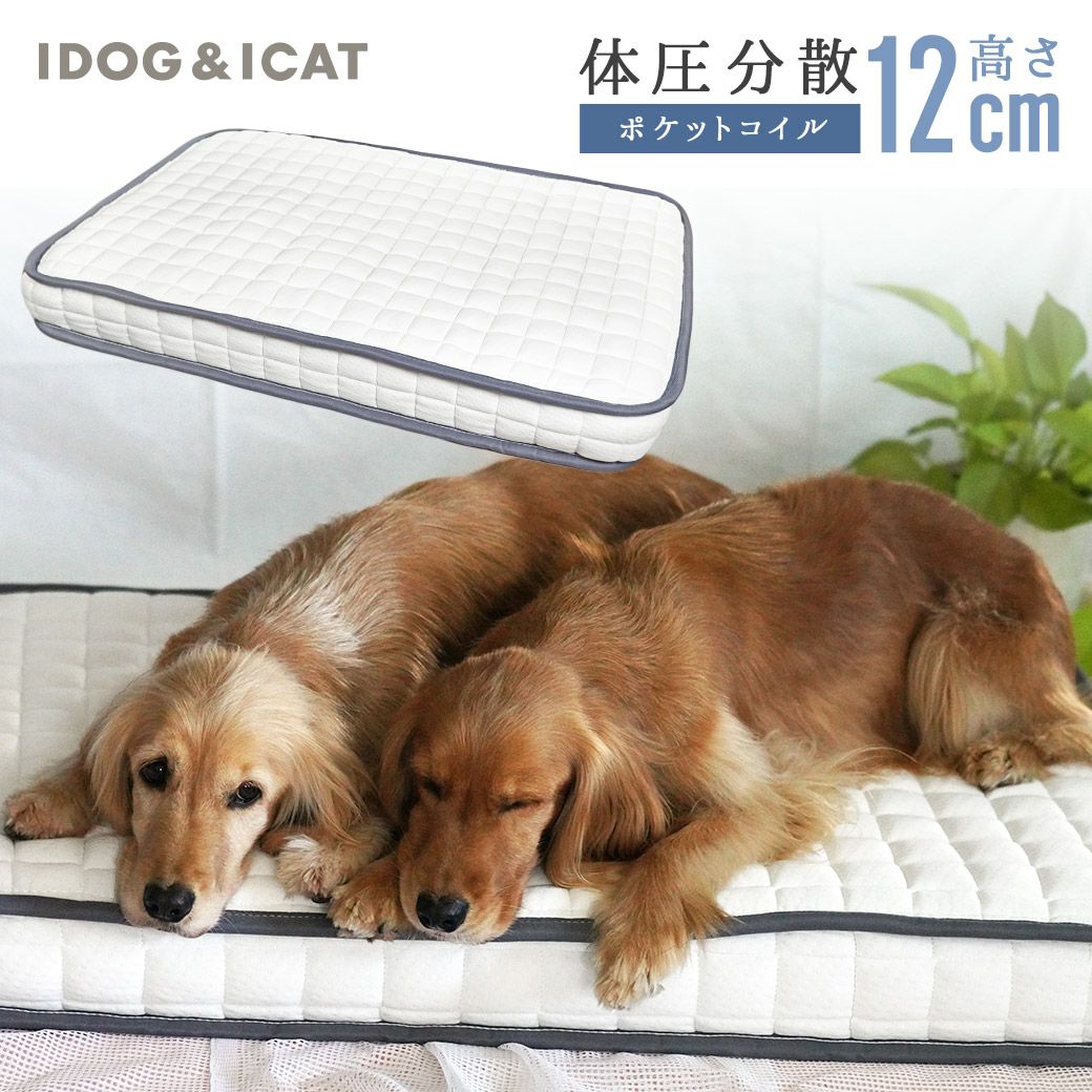 IDOG&ICAT ポケットコイルマットレス コンフォートスリープ 愛犬用95