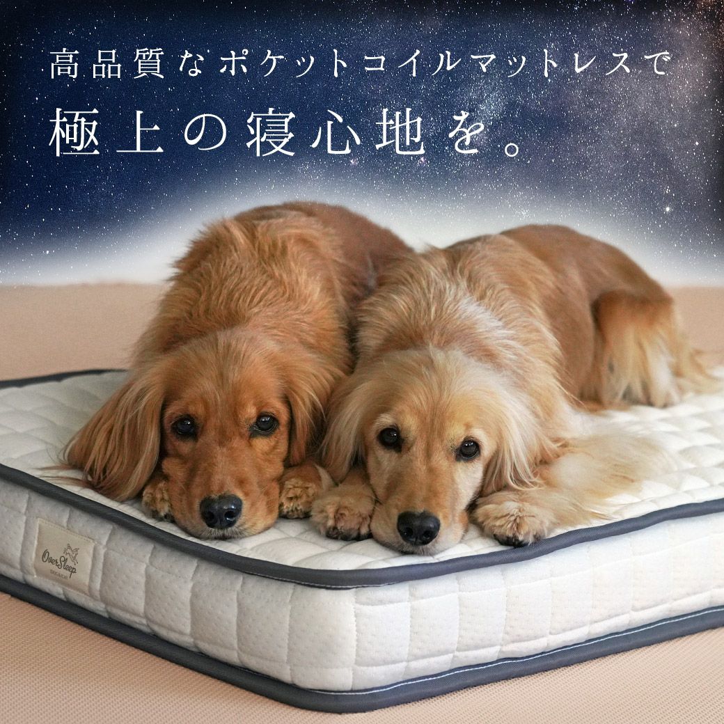 ペット用マットレス 愛犬専用ポケットコイルマットレス｜体圧分散 高齢犬に最適 IDOG&ICAT ポケットコイルマットレス コンフォートスリープ 愛犬用95