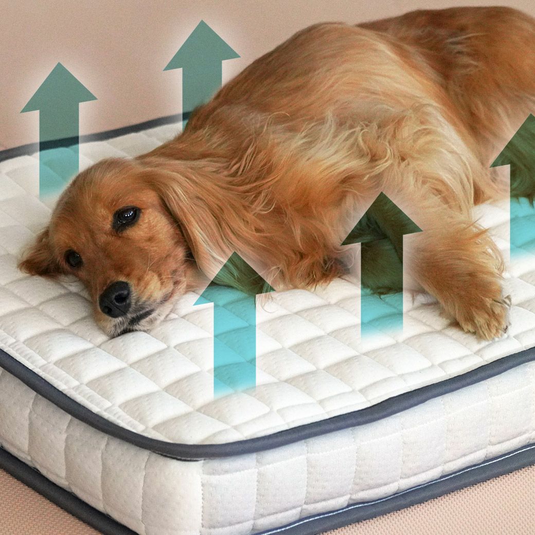 ペット用マットレス 愛犬専用ポケットコイルマットレス｜体圧分散 高齢犬に最適 IDOG&ICAT ポケットコイルマットレス コンフォートスリープ 愛犬用95