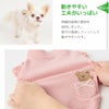 動きやすい工夫がいっぱいの犬用洋服