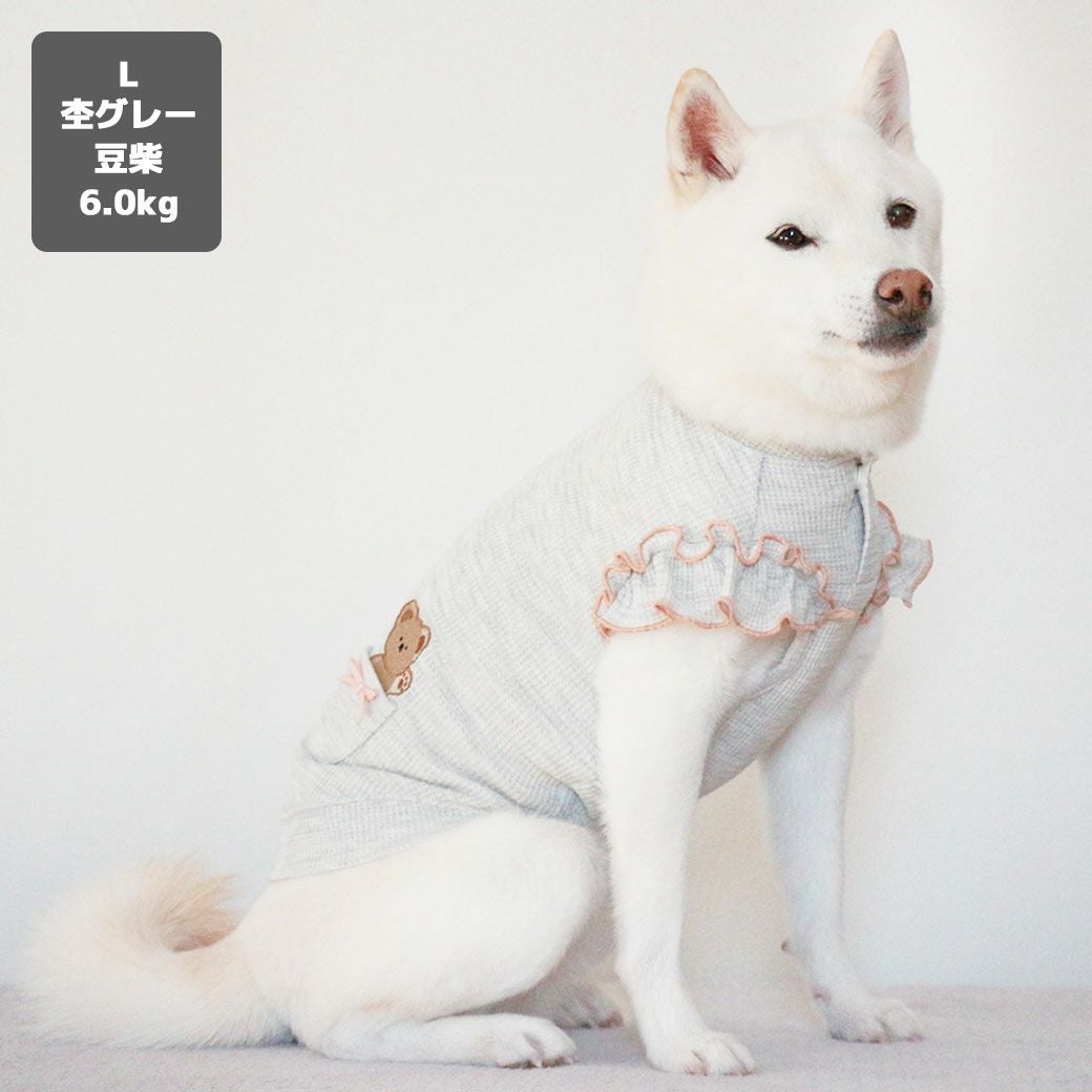 豆柴6.0kg(首31/胴45/丈33cm)のラテちゃんは杢グレーのLを着用