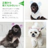 正面から見てもかわいい！こだわり仕様の犬用フーディ