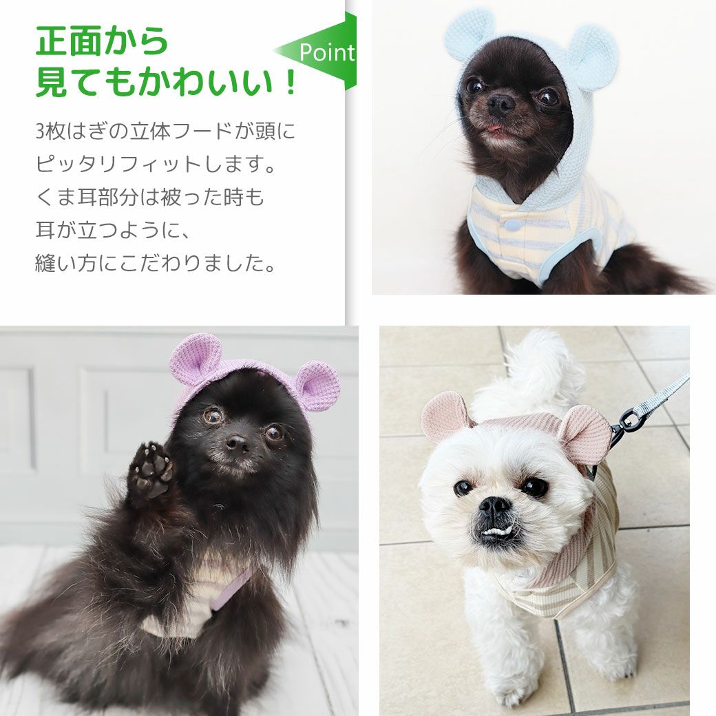 正面から見てもかわいい！こだわり仕様の犬用フーディ