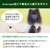 moscape加工で害虫から愛犬を守ろう！