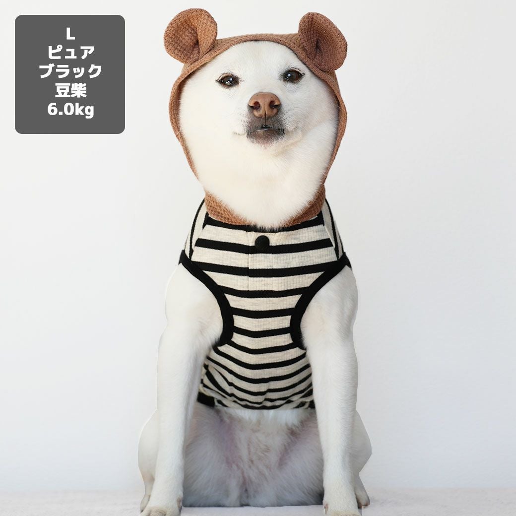 豆柴6.0kg(首31/胴45/丈33cm)のラテちゃんはピュアブラックのLを着用