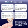 ひんやり＆UVカット効果のCOOLMEウェアで愛犬の肌を守ろう