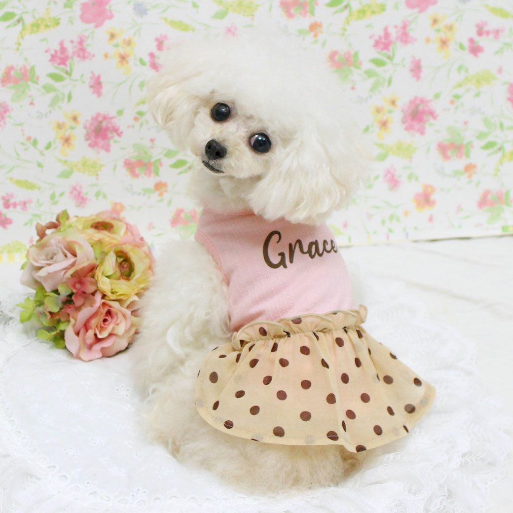 iDog シフォンドットスカートワンピ iDog fleur アイドッグ-犬猫ペット