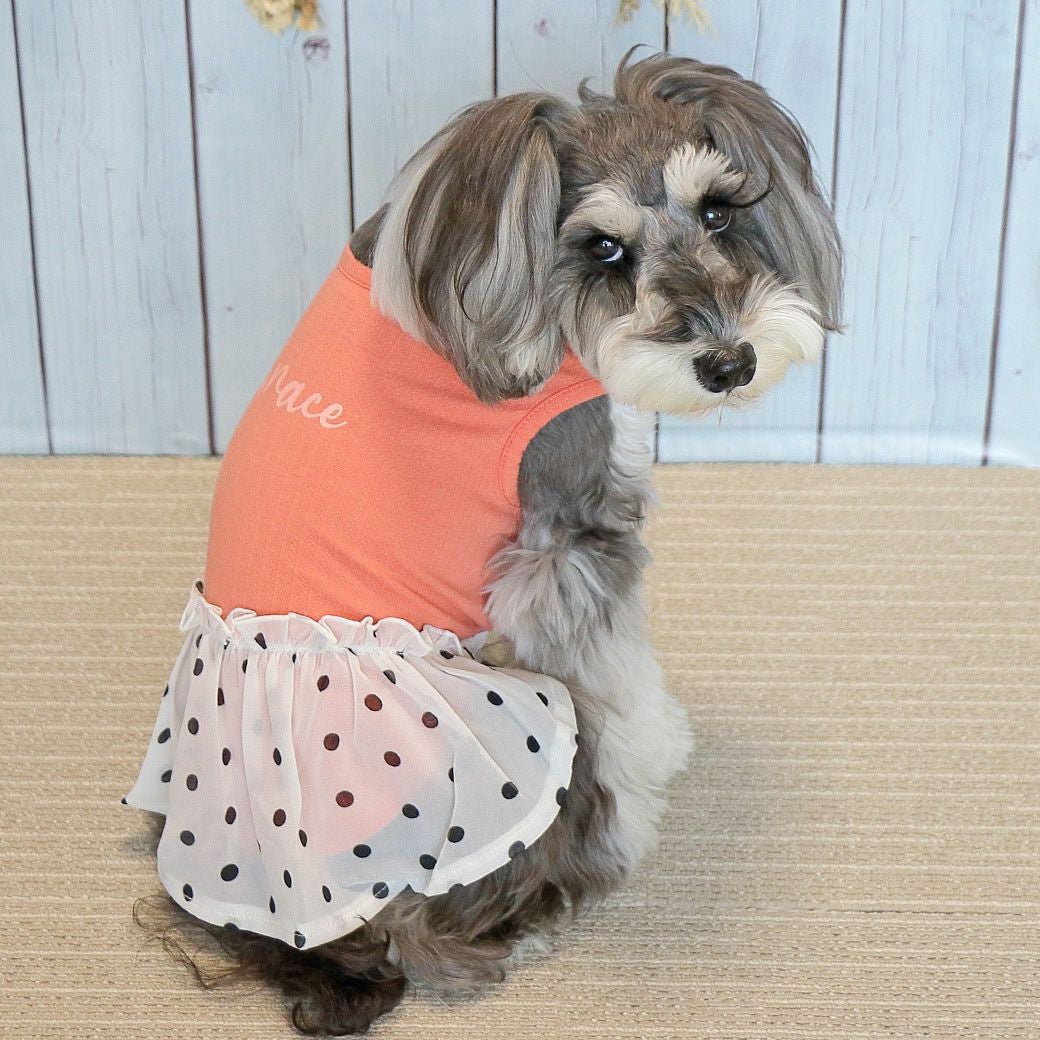 犬のスカートのみ　500円 iDog 切替ボックスプリーツワンピ アイドッグ-犬猫ペット用品通販