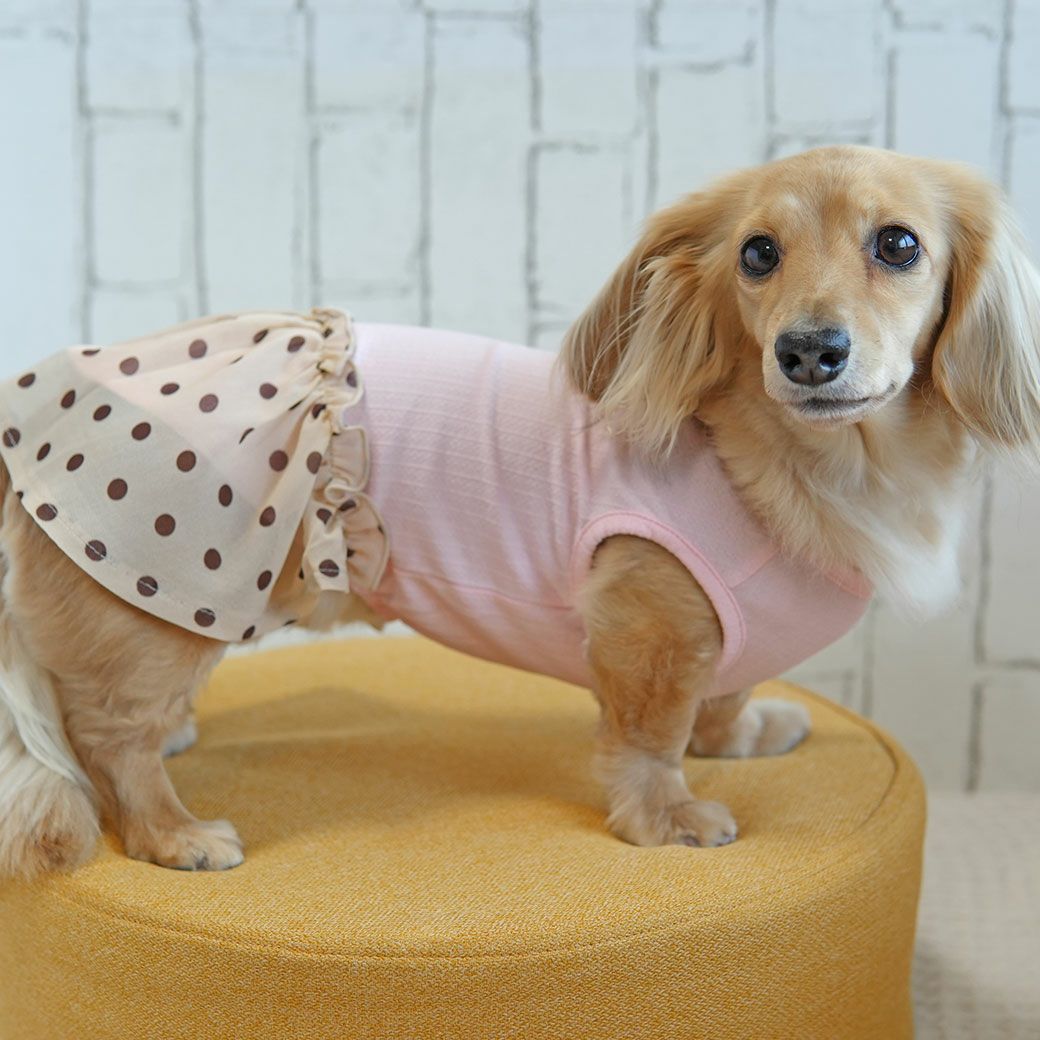 iDog シフォンドットスカートワンピ iDog fleur アイドッグ-犬猫ペット