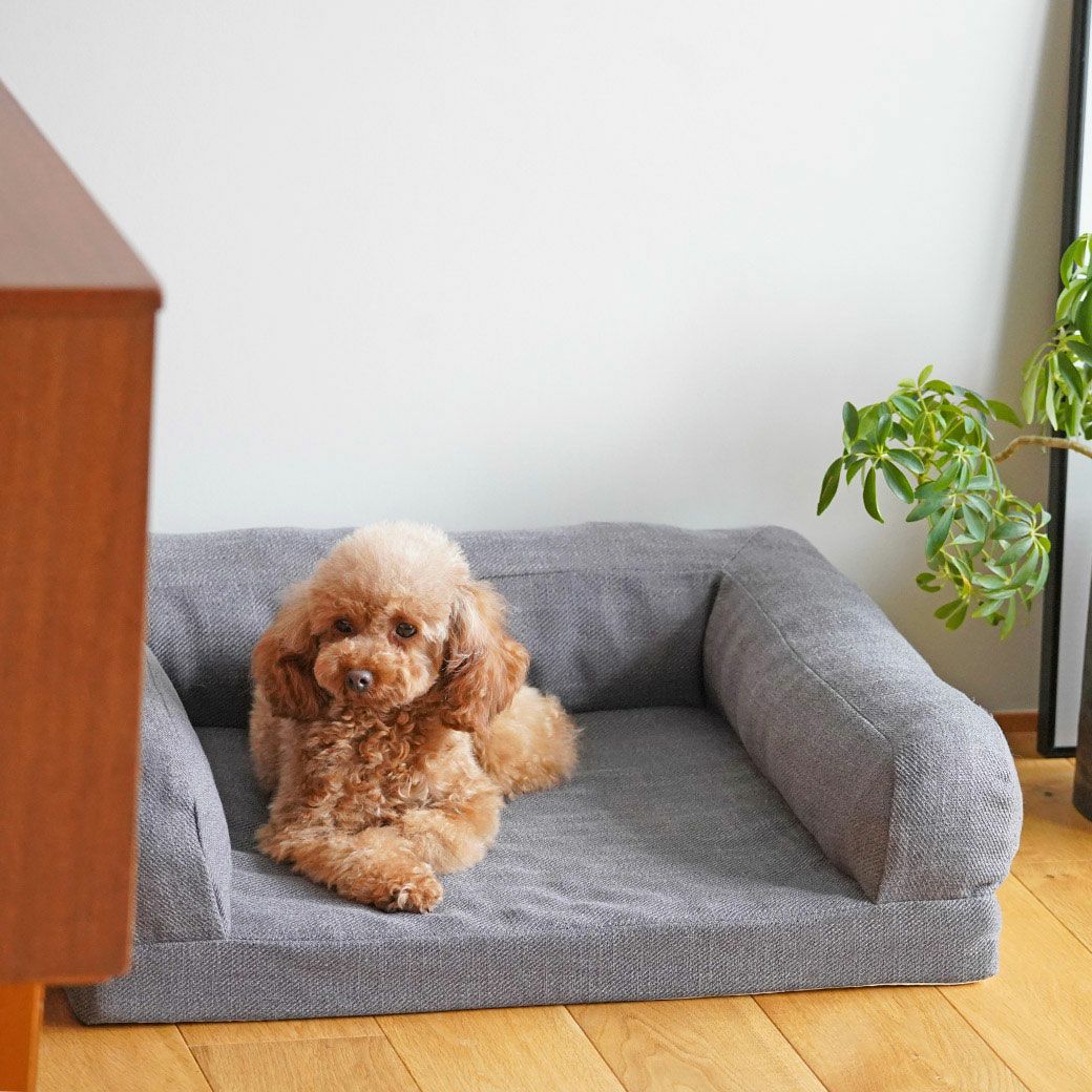 IDOG&ICAT リラクシングソファベッド Mサイズ アイドッグ-犬猫ペット