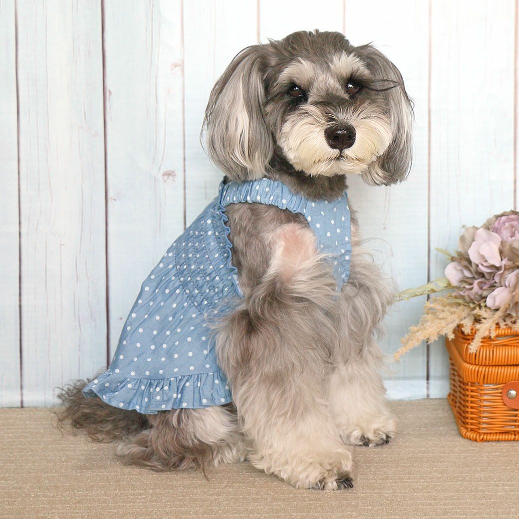 iDog MOSCAPE ギャザーフリルワンピ iDog fleur 防蚊 アイドッグ-犬猫