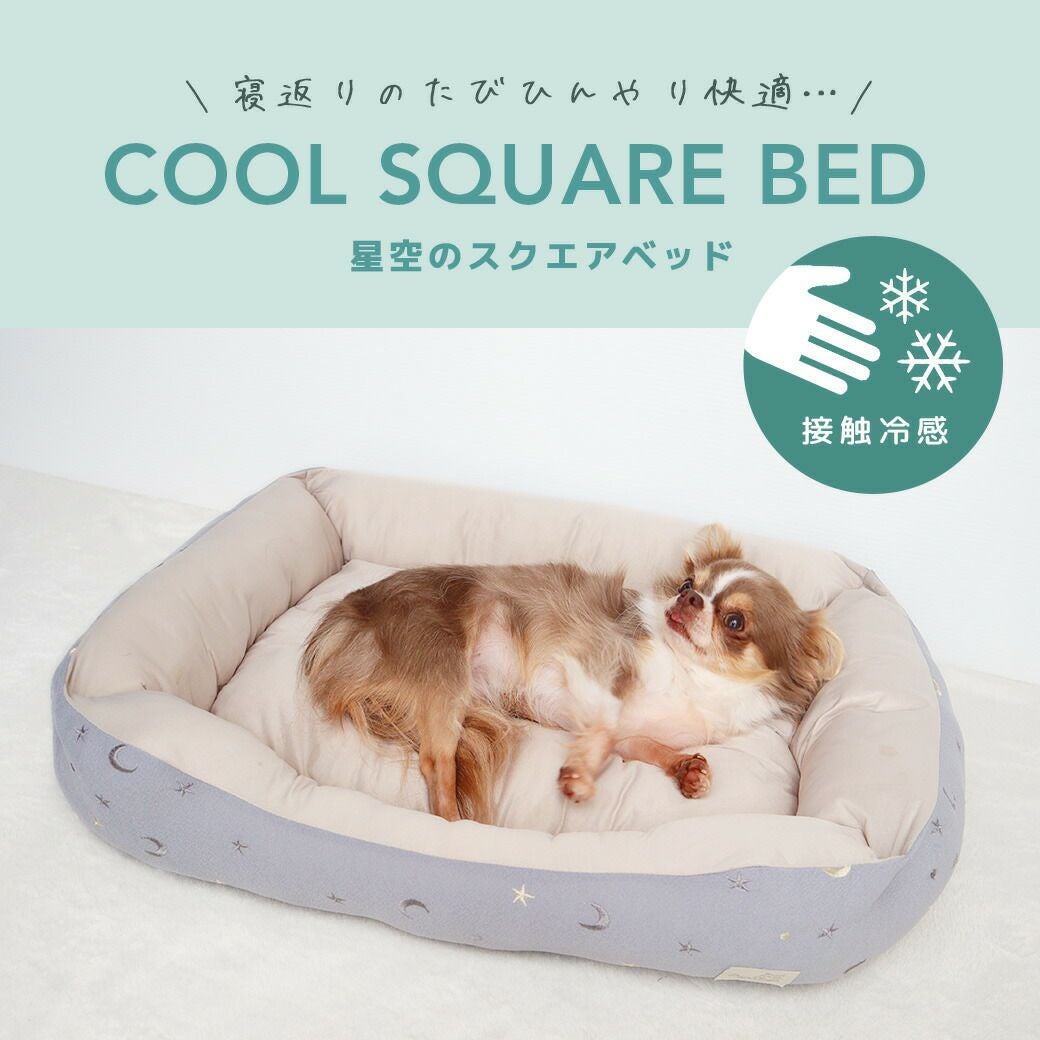 IDOG&ICAT星空のスクエアベッド接触冷感抗菌防臭アイドッグ