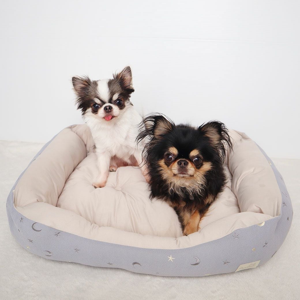 チワワ1.7kg(首18/胴27.5/丈22cm)のトロくんはグレーを使用