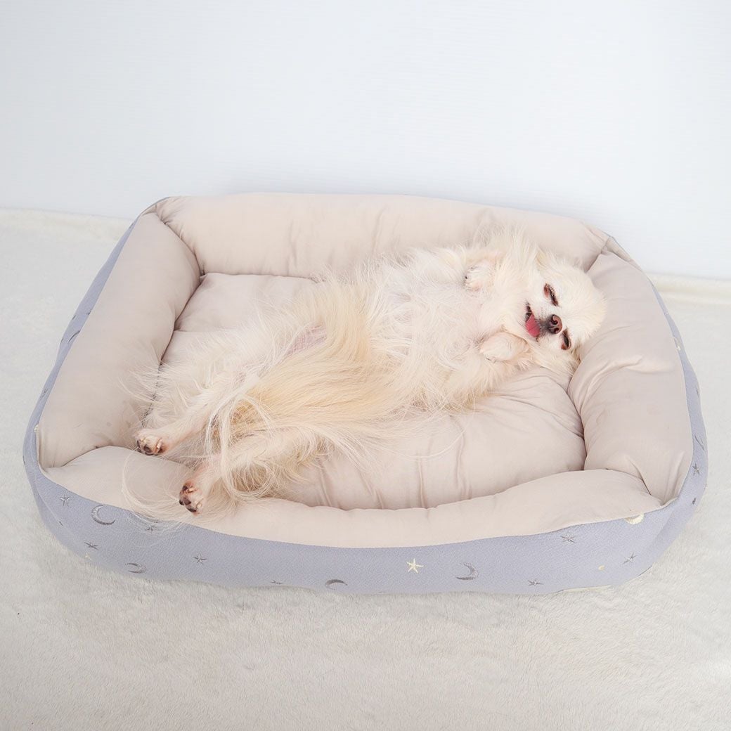 チワワ2.1kg(首19.5/胴30.5/丈22cm)の玉青ちゃんはグレーを使用