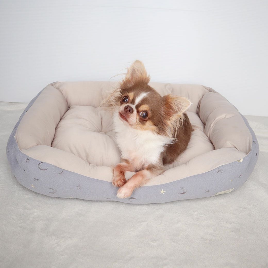 夕花ちゃん2.3kg（左）、星花ちゃん2.3kg（右）はグレーを使用