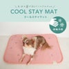 IDOG&ICATクールステイマット接触冷感抗菌防臭アイドッ