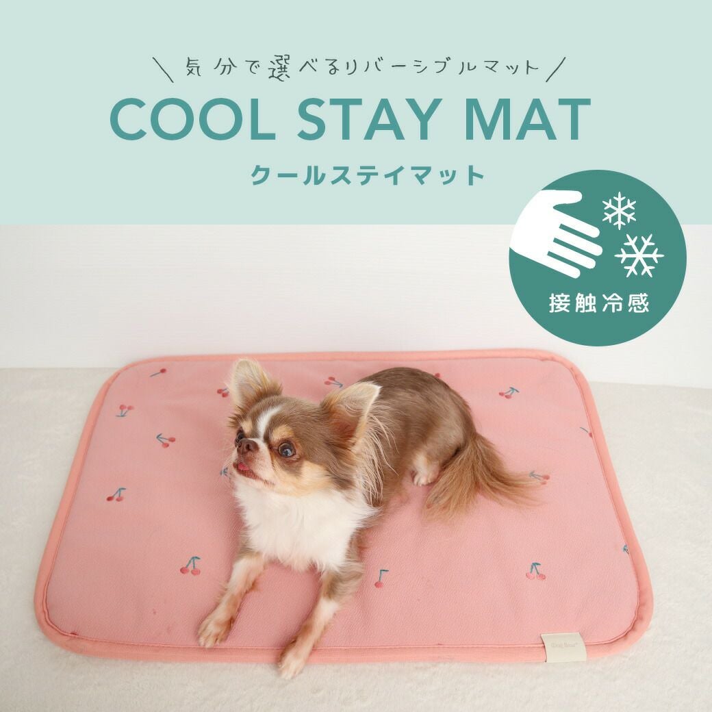 IDOG&ICATクールステイマット接触冷感抗菌防臭アイドッ