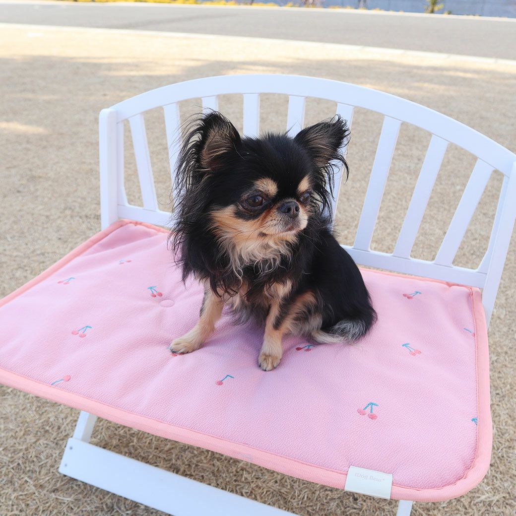 チワワ1.9kg(首19/胴29.5/丈21.5cm)のウメちゃんはチェリーを使用