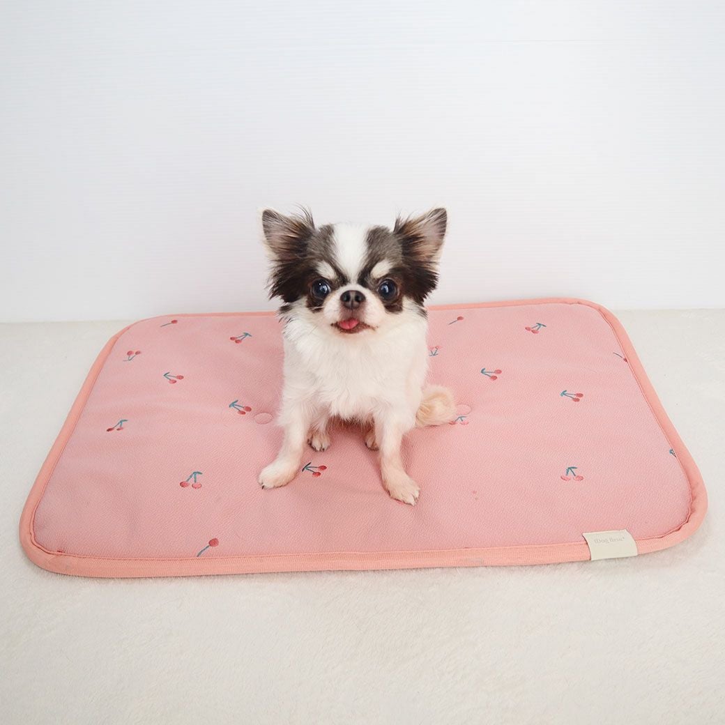 チワワ1.7kg(首18/胴27.5/丈18cm)の小真知ちゃんはチェリーを使用