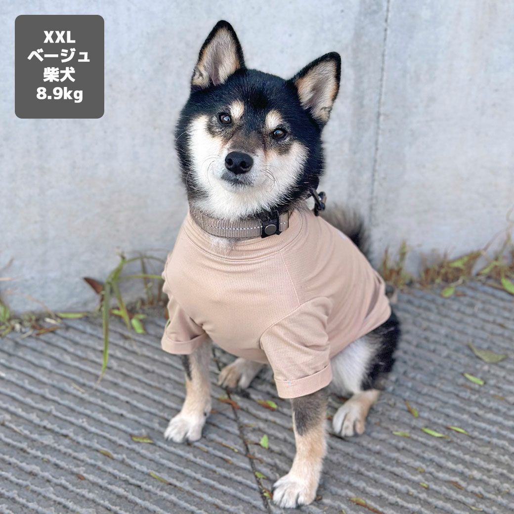 iDog COOL+MOSCAPE ロゴプリントメッシュTシャツ 接触冷感 防蚊 アイ