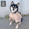 柴犬8.9kg(首33/胴54/丈39cm)のチョコプリンちゃんはベージュのXXLを着用