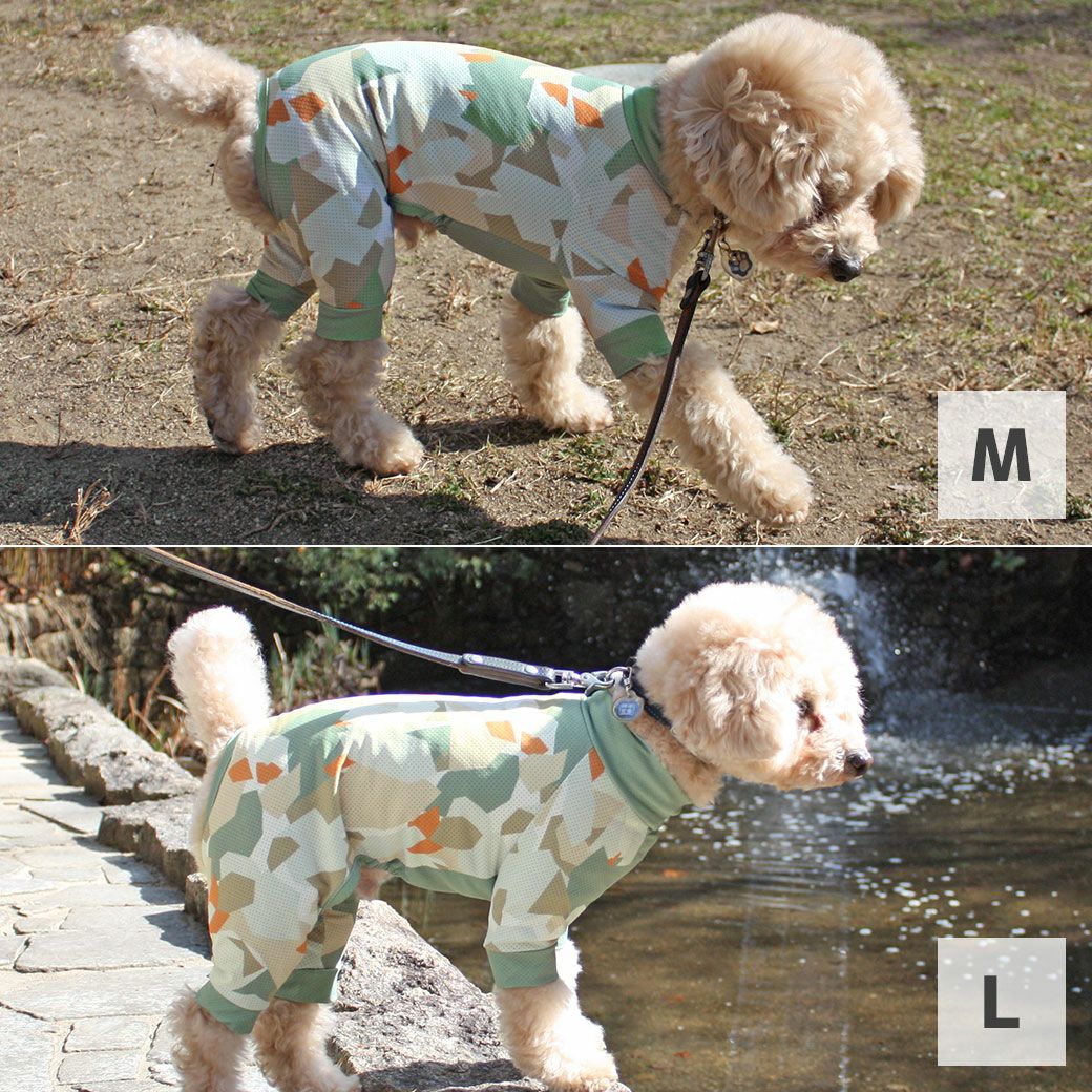 トイプー4.6kg(首25/胴40/丈34cm)のフク丸くんは●MとアースLを着用