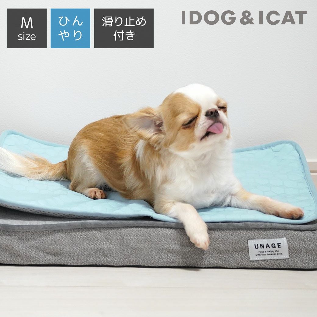 ペット寝具 アイドッグ - 犬 猫ペット用品通販 IDOG&ICAT |ペット 犬 寝具