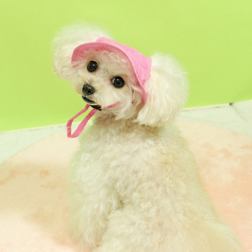 iDog MOSCAPE 防蚊シールドハット アイドッグ-犬猫ペット用品通販