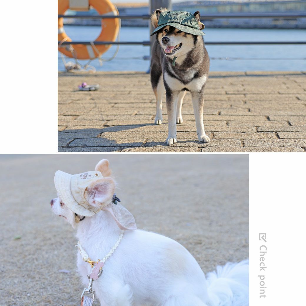 iDog MOSCAPE 防蚊シールドハット アイドッグ-犬猫ペット用品通販
