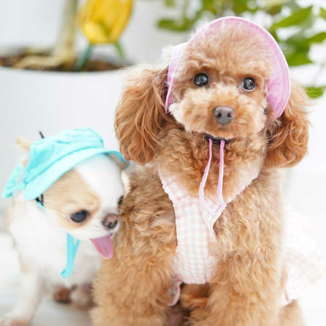 iDog MOSCAPE 防蚊シールドハット アイドッグ-犬猫ペット用品通販
