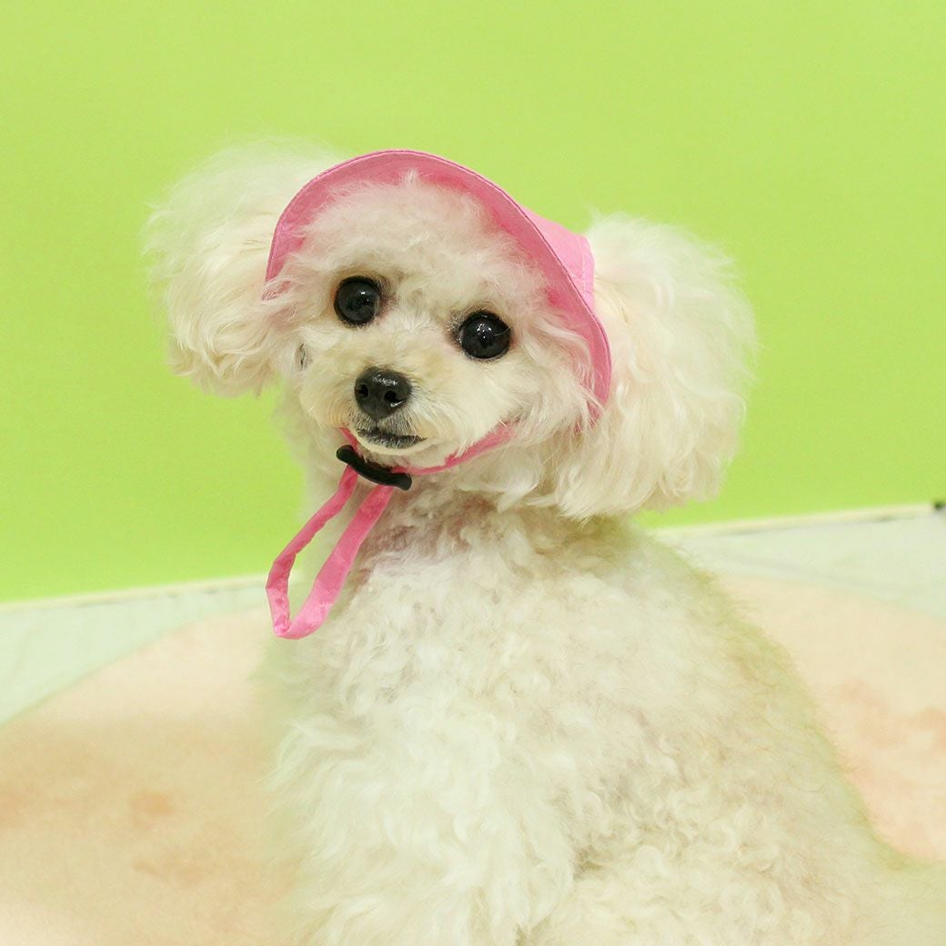 iDog MOSCAPE 防蚊シールドハット アイドッグ-犬猫ペット用品通販