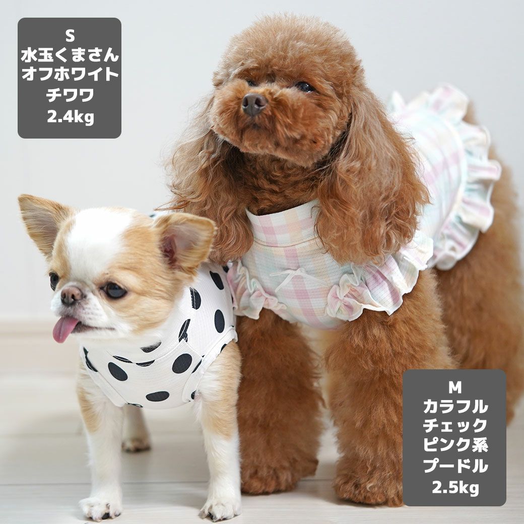 チワワ2.4kgのつぶは水玉くまさんオフホワイトのS、プードル2.5kg(首19/胴31/丈26cm)のグミちゃんはカラフルチェックピンク系のMを着用
