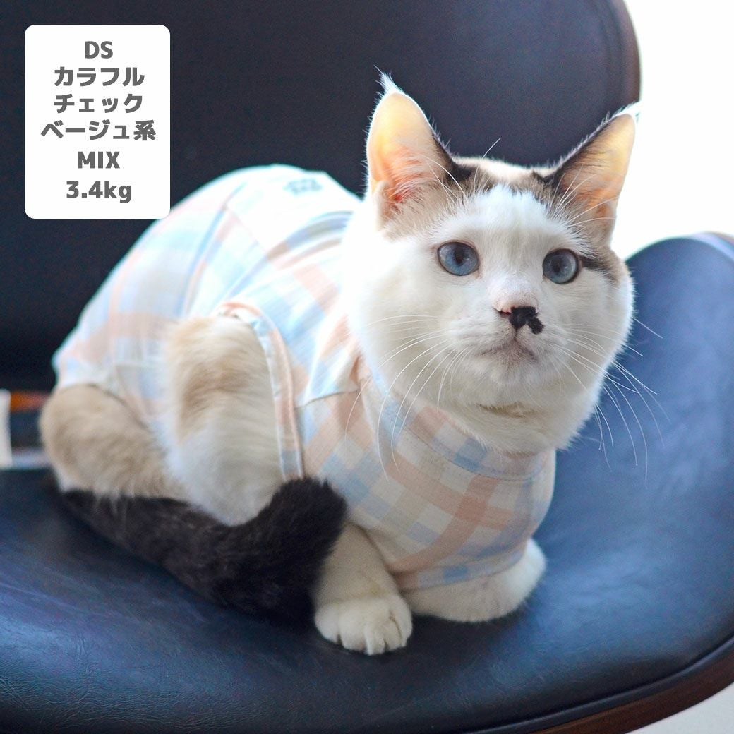 MIX3.4kg(首20/胴29/丈35cm)の風花ちゃんはカラフルチェックベージュ系のDS着用