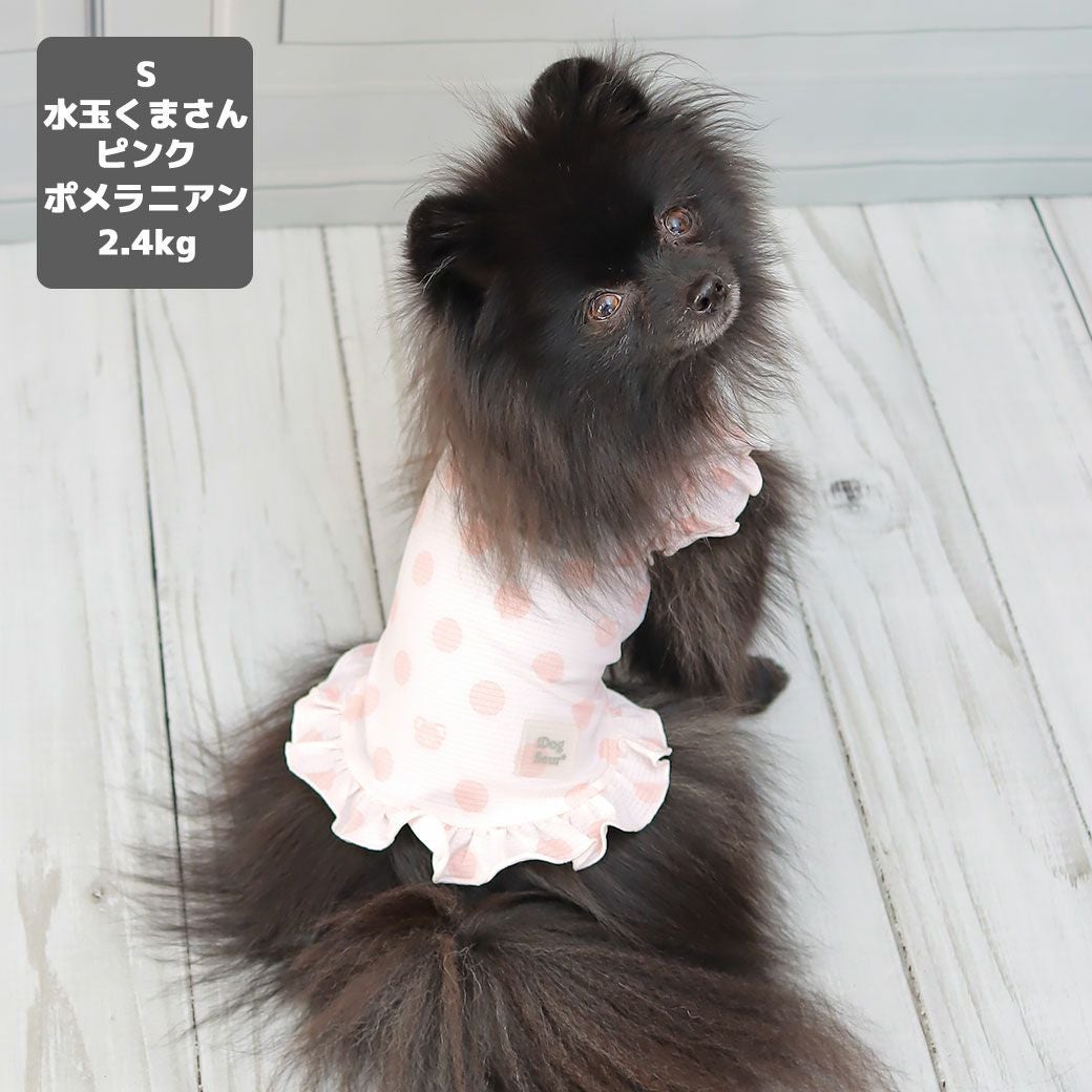ポメラニアン2.4kg(首19/胴30/丈26cm)のはちみつちゃんは水玉くまさんピンクのSを着用