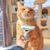 MIX8.0kgの虎太郎くんが使用