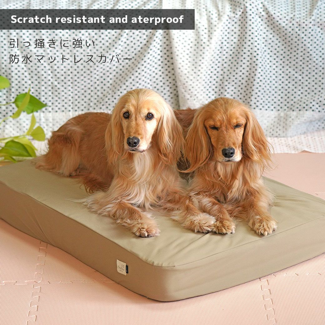 IDOG&ICAT TOGHTEX マットレス専用 防水ワンタッチボックスシーツ アイ