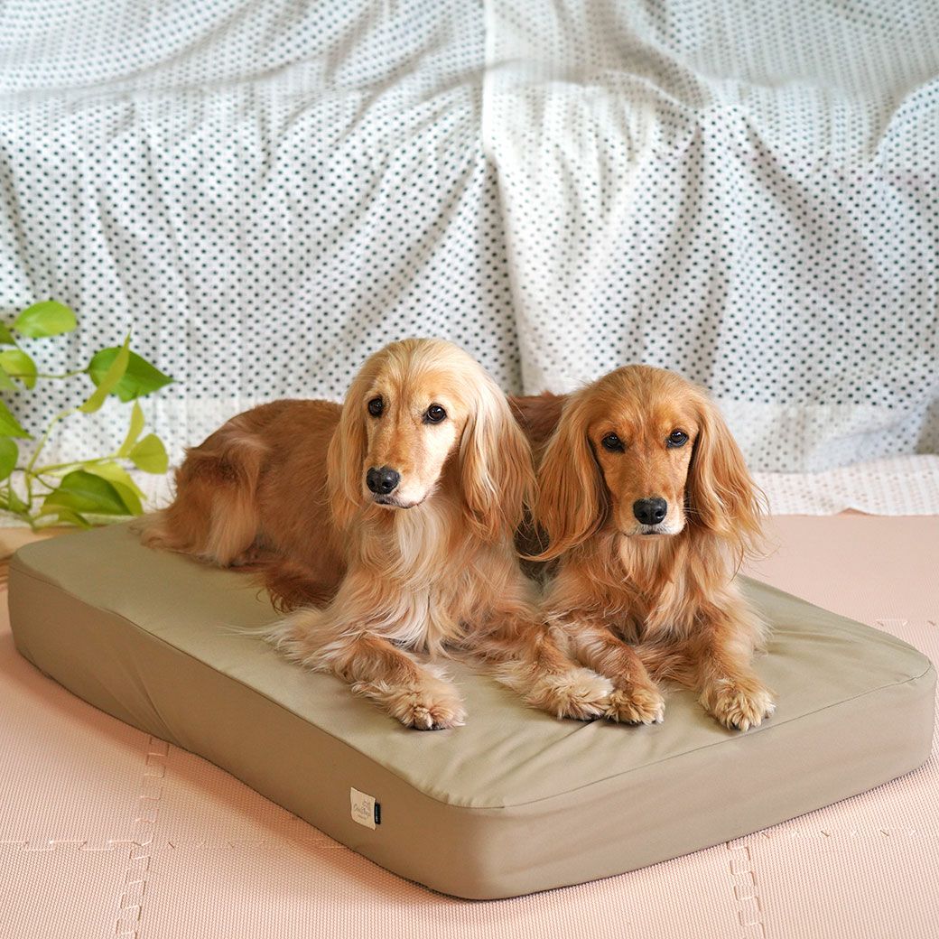 IDOG&ICAT TOGHTEX マットレス専用 防水ワンタッチボックスシーツ アイ